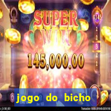 jogo do bicho tipos de apostas